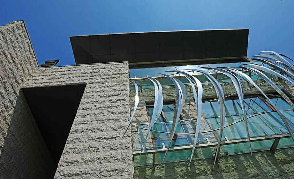 Gallery 5
