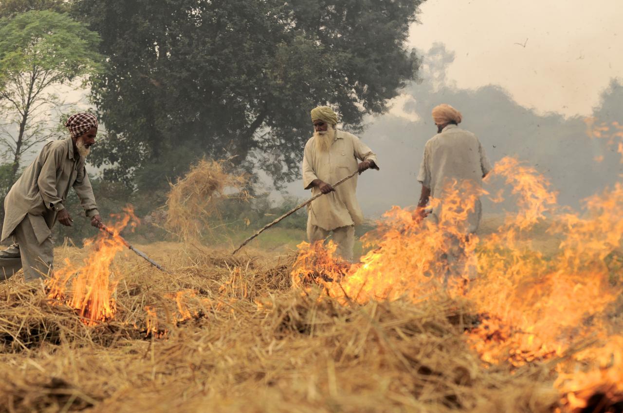 Stubble burning in Punjab, Source: Wikimedia Commons